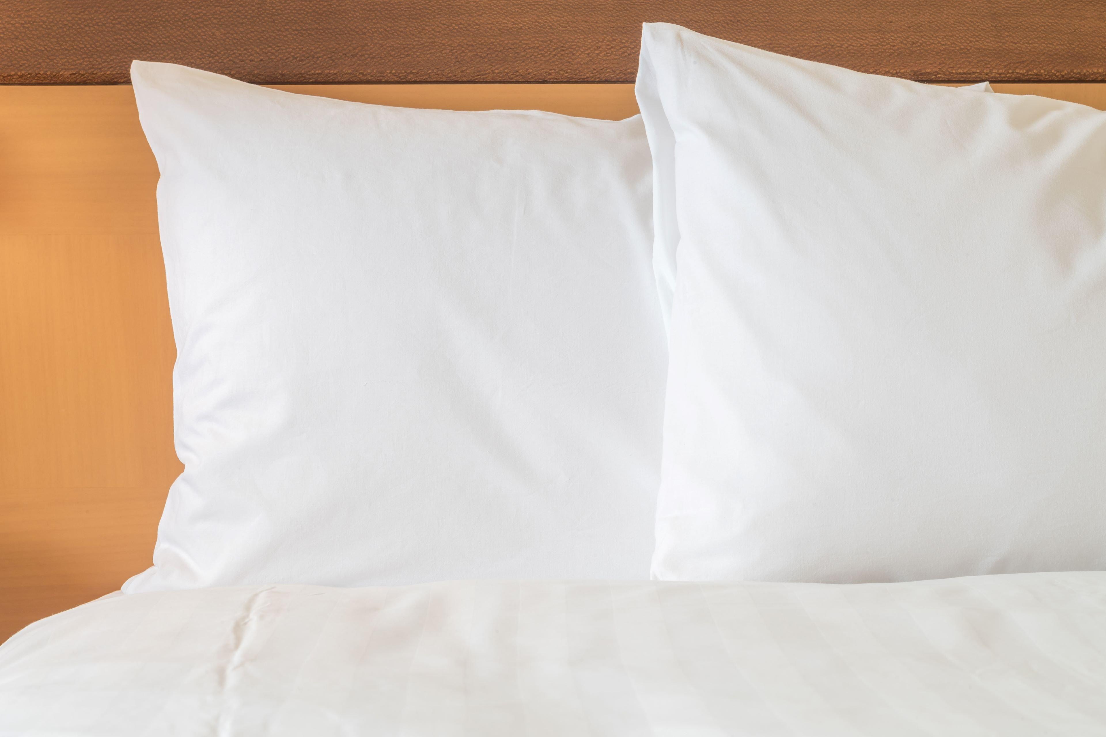 Holiday Inn Express Hotel & Suites Rochester By Ihg Kültér fotó